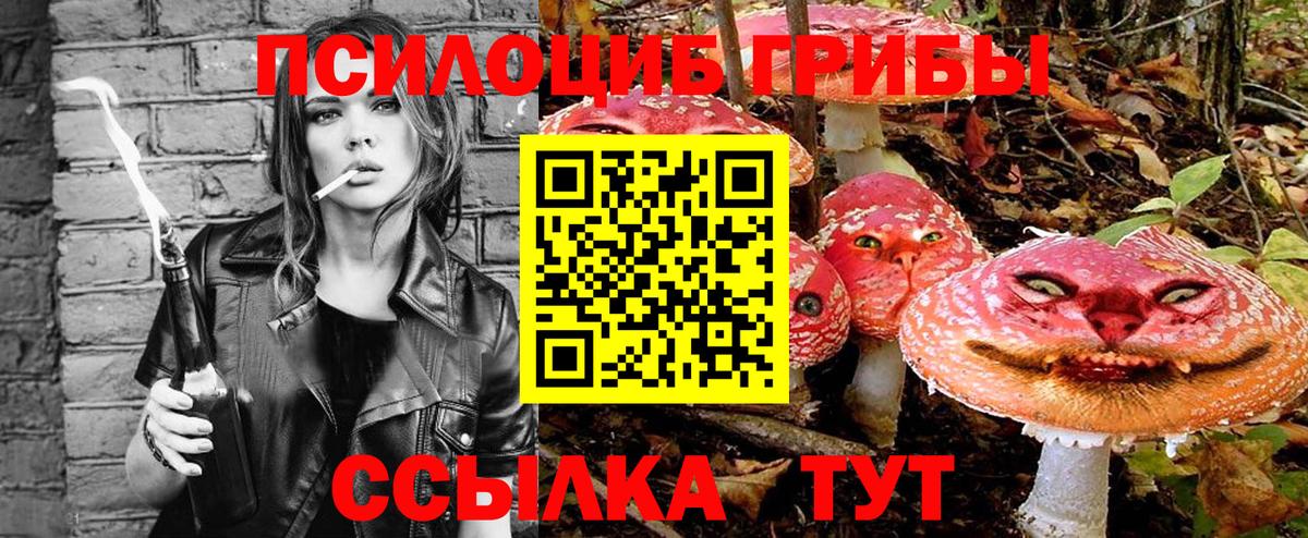 Псилоцибиновые грибы прущие грибы Спасск-Дальний