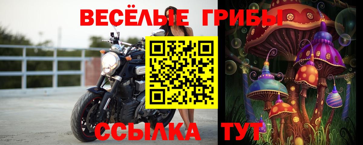 купить закладку  Вход с VPN  Спасск-Дальний  Галлюциногенные грибы мухоморы 